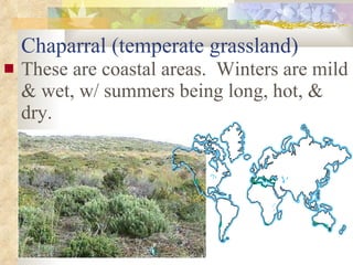 Chaparral (temperate grassland) These are coastal areas.  Winters are mild & wet, w/ summers being long, hot, & dry. 