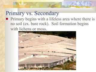 Primary vs. Secondary Primary begins with a lifeless area where there is no soil (ex. bare rock).  Soil formation begins with lichens or moss.   