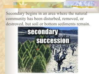 Secondary begins in an area where the natural community has been disturbed, removed, or destroyed, but soil or bottom sediments remain. 