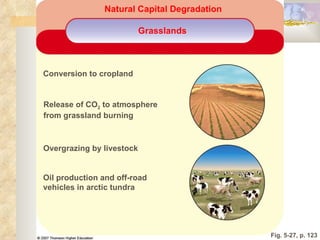 Fig. 5-27, p. 123 Oil production and off-road vehicles in arctic tundra Overgrazing by livestock Release of CO 2  to atmosphere  from grassland burning Conversion to cropland Grasslands Natural Capital Degradation 