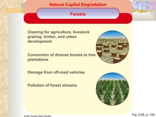 Fig. 5-28, p. 124 Clearing for agriculture, livestock  grazing, timber, and urban  development Conversion of diverse forests to tree  plantations Damage from off-road vehicles Natural Capital Degradation Forests Pollution of forest streams 