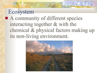 Ecosystem A community of different species interacting together & with the chemical & physical factors making up its non-living environment. 