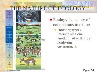 THE NATURE OF ECOLOGY Ecology is a study of connections in nature. How organisms interact with one another and with their nonliving environment. Figure 3-2 