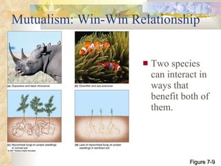 Mutualism: Win-Win Relationship Two species can interact in ways that benefit both of them. Figure 7-9 