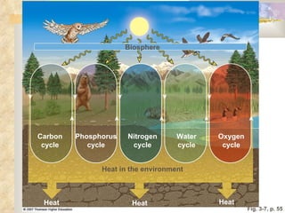 Fig. 3-7, p. 55 Nitrogen cycle Biosphere Heat in the environment Heat Heat Heat Phosphorus cycle Carbon cycle Oxygen cycle Water cycle 