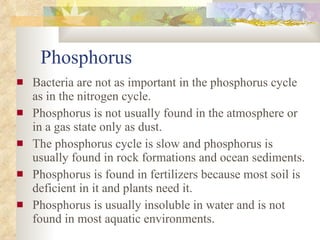 Phosphorus Bacteria are not as important in the phosphorus cycle as in the nitrogen cycle. Phosphorus is not usually found in the atmosphere or in a gas state only as dust. The phosphorus cycle is slow and phosphorus is usually found in rock formations and ocean sediments. Phosphorus is found in fertilizers because most soil is deficient in it and plants need it. Phosphorus is usually insoluble in water and is not found in most aquatic environments. 