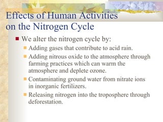 Effects of Human Activities  on the Nitrogen Cycle We alter the nitrogen cycle by: Adding gases that contribute to acid rain. Adding nitrous oxide to the atmosphere through farming practices which can warm the atmosphere and deplete ozone. Contaminating ground water from nitrate ions in inorganic fertilizers. Releasing nitrogen into the troposphere through deforestation. 