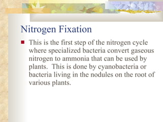 Nitrogen Fixation This is the first step of the nitrogen cycle where specialized bacteria convert gaseous nitrogen to ammonia that can be used by plants.  This is done by cyanobacteria or bacteria living in the nodules on the root of various plants. 