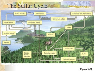 The Sulfur Cycle Figure 3-32 