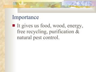 Importance It gives us food, wood, energy, free recycling, purification & natural pest control. 