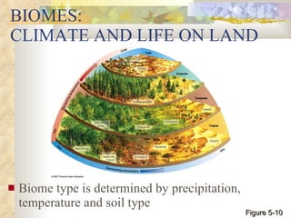 BIOMES:  CLIMATE AND LIFE ON LAND Biome type is determined by precipitation, temperature and soil type Figure 5-10 