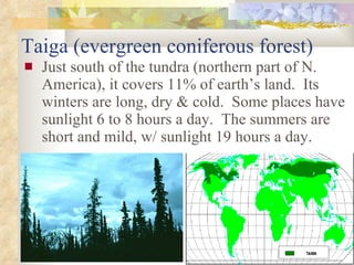 Taiga (evergreen coniferous forest) Just south of the tundra (northern part of N. America), it covers 11% of earth’s land.  Its winters are long, dry & cold.  Some places have sunlight 6 to 8 hours a day.  The summers are short and mild, w/ sunlight 19 hours a day. 