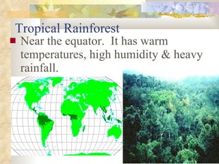 Tropical Rainforest Near the equator.  It has warm temperatures, high humidity & heavy rainfall. 