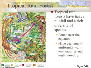 Tropical Rain Forest Tropical rain forests have heavy rainfall and a rich diversity of species. Found near the equator. Have year-round uniformity warm temperatures and high humidity. Figure 5-20 