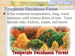 Temperate Deciduous Forest It has moderate temperatures, long, warm summers, cold winters &lots of rain.  Trees include oaks, hickory, maple, and beech. 