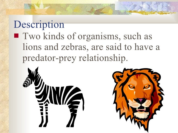What are three terms used to describe organisms such as lions?