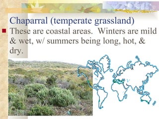 Chaparral (temperate grassland) These are coastal areas.  Winters are mild & wet, w/ summers being long, hot, & dry. 