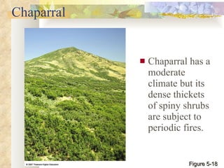 Chaparral Chaparral has a moderate climate but its dense thickets of spiny shrubs are subject to periodic fires. Figure 5-18 
