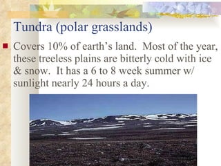 Tundra (polar grasslands) Covers 10% of earth’s land.  Most of the year, these treeless plains are bitterly cold with ice & snow.  It has a 6 to 8 week summer w/ sunlight nearly 24 hours a day.                                              
