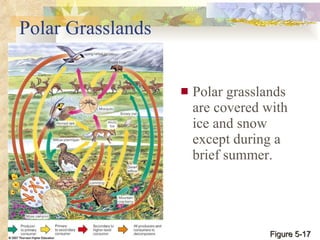 Polar Grasslands Polar grasslands are covered with ice and snow except during a brief summer. Figure 5-17 