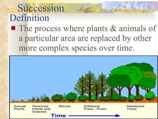 Definition The process where plants & animals of a particular area are replaced by other more complex species over time. Succession 