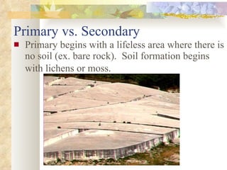Primary vs. Secondary Primary begins with a lifeless area where there is no soil (ex. bare rock).  Soil formation begins with lichens or moss.   