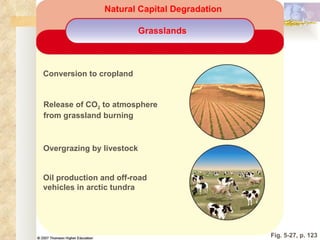 Fig. 5-27, p. 123 Oil production and off-road vehicles in arctic tundra Overgrazing by livestock Release of CO 2  to atmosphere  from grassland burning Conversion to cropland Grasslands Natural Capital Degradation 