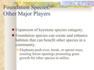 Foundation Species:  Other Major Players Expansion of keystone species category. Foundation species can create and enhance habitats that can benefit other species in a community. Elephants push over, break, or uproot trees, creating forest openings promoting grass growth for other species to utilize. 