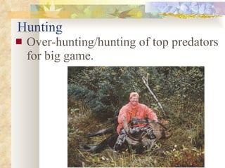 Hunting Over-hunting/hunting of top predators for big game. 