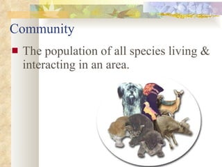 Community The population of all species living & interacting in an area.                                                   