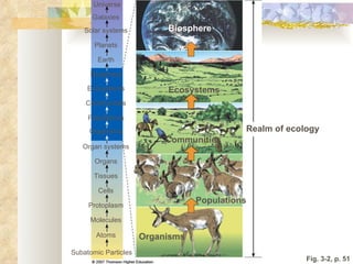 Fig. 3-2, p. 51 Communities Subatomic Particles Atoms Molecules Protoplasm Cells Tissues Organs Organ systems Organisms Populations Populations Communities Ecosystems Biosphere Earth Planets Solar systems Galaxies Universe Organisms Realm of ecology Ecosystems Biosphere 