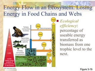 Energy Flow in an Ecosystem: Losing Energy in Food Chains and Webs Ecological efficiency : percentage of useable energy transferred as biomass from one trophic level to the next. Figure 3-19 