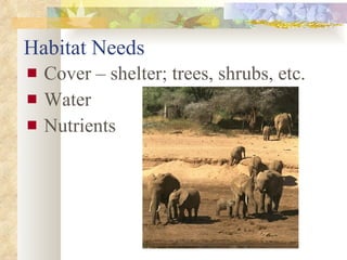 Habitat Needs Cover – shelter; trees, shrubs, etc. Water Nutrients 