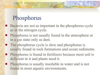Phosphorus Bacteria are not as important in the phosphorus cycle as in the nitrogen cycle. Phosphorus is not usually found in the atmosphere or in a gas state only as dust. The phosphorus cycle is slow and phosphorus is usually found in rock formations and ocean sediments. Phosphorus is found in fertilizers because most soil is deficient in it and plants need it. Phosphorus is usually insoluble in water and is not found in most aquatic environments. 