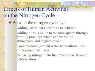 Effects of Human Activities  on the Nitrogen Cycle We alter the nitrogen cycle by: Adding gases that contribute to acid rain. Adding nitrous oxide to the atmosphere through farming practices which can warm the atmosphere and deplete ozone. Contaminating ground water from nitrate ions in inorganic fertilizers. Releasing nitrogen into the troposphere through deforestation. 