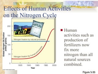 Effects of Human Activities  on the Nitrogen Cycle Human activities such as production of fertilizers now fix more nitrogen than all natural sources combined. Figure 3-30 