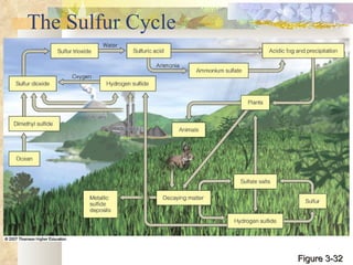 The Sulfur Cycle Figure 3-32 