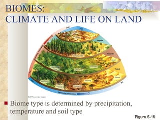 BIOMES:  CLIMATE AND LIFE ON LAND Biome type is determined by precipitation, temperature and soil type Figure 5-10 