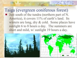 Taiga (evergreen coniferous forest) Just south of the tundra (northern part of N. America), it covers 11% of earth’s land.  Its winters are long, dry & cold.  Some places have sunlight 6 to 8 hours a day.  The summers are short and mild, w/ sunlight 19 hours a day. 