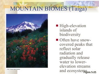 MOUNTAIN BIOMES (Taiga) High-elevation islands of biodiversity  Often have snow-covered peaks that reflect solar radiation and gradually release water to lower-elevation streams and ecosystems. Figure 5-25 