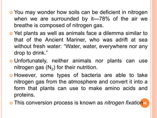  You may wonder how soils can be deficient in nitrogen
when we are surrounded by it—78% of the air we
breathe is composed of nitrogen gas.
 Yet plants as well as animals face a dilemma similar to
that of the Ancient Mariner, who was adrift at sea
without fresh water: “Water, water, everywhere nor any
drop to drink.”
 Unfortunately, neither animals nor plants can use
nitrogen gas (N2) for their nutrition.
 However, some types of bacteria are able to take
nitrogen gas from the atmosphere and convert it into a
form that plants can use to make amino acids and
proteins.
 This conversion process is known as nitrogen fixation.28
 