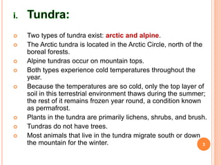  Two types of tundra exist: arctic and alpine.
 The Arctic tundra is located in the Arctic Circle, north of the
boreal forests.
 Alpine tundras occur on mountain tops.
 Both types experience cold temperatures throughout the
year.
 Because the temperatures are so cold, only the top layer of
soil in this terrestrial environment thaws during the summer;
the rest of it remains frozen year round, a condition known
as permafrost.
 Plants in the tundra are primarily lichens, shrubs, and brush.
 Tundras do not have trees.
 Most animals that live in the tundra migrate south or down
the mountain for the winter. 3
 