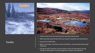 Tundra
• Tundra comes from the word tunturia meaning treeless plain.
• With extremely cold climate with short season of growth and reproduction.
• Encircles the North Pole.
• Below a thin layer of tundra soil isits permafrost, a permanently frozen layer
of ground.
• During the brief summers, the top section of the soil may thaw just long
enough to allow plants and microorganisms to grow and reproduce.
 