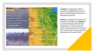A prairie is a large open area of
grassland. Large flat open areas of
grass in South Dakota or Kansas are
examples of a prairie.
Prairies are located in the heart of a
continent. Therefore, the climate is
of continental type with extreme
temperatures. The summers are
warm, with temperatures of around
20oC and winters are very cold with
temperatures of around -20oC.
 