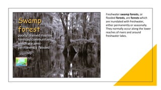 Freshwater swamp forests, or
flooded forests, are forests which
are inundated with freshwater,
either permanently or seasonally.
They normally occur along the lower
reaches of rivers and around
freshwater lakes.
 