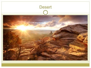 Desert
 