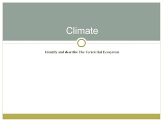 Climate

Identify and describe The Terrestrial Ecosystem
 