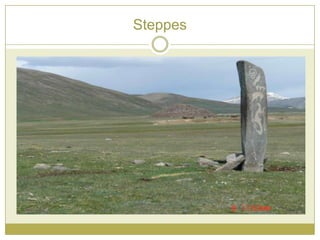 Steppes
 