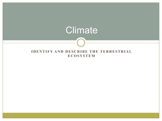 I D E N T I F Y A N D D E S C R I B E T H E T E R R E S T R I A L
E C O S Y S T E M
Climate
 