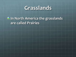 Grasslands
In North America the grasslands
are called Prairies
 